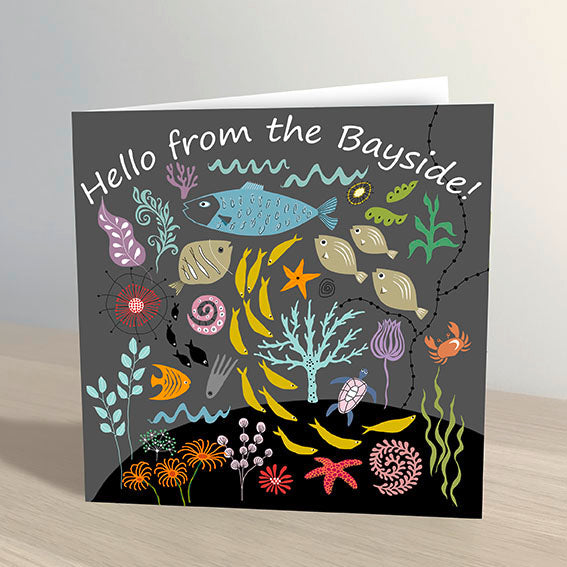 Hello from the Bayside Greeting Card